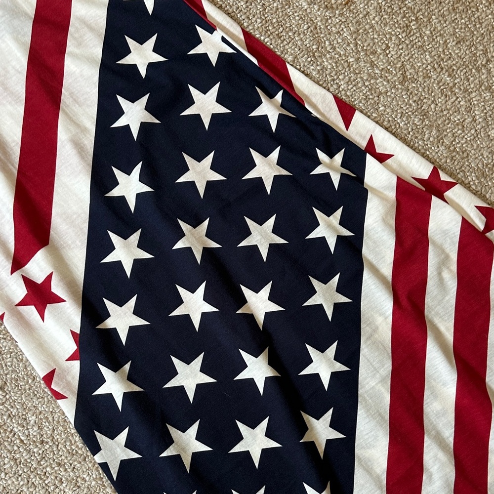 TRUE ROCK Star-Spangled Sleeveless Dress - Picture 4 of 4